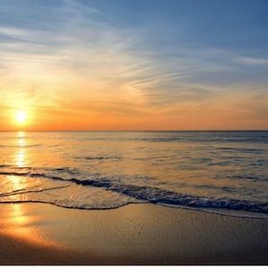 Meet your Posher, Aline